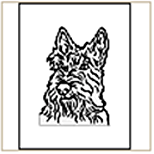 Scottish Terrier Coloring Page